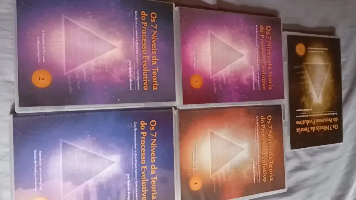 Os 7 Níveis da Teoria do Processo Evolutivo