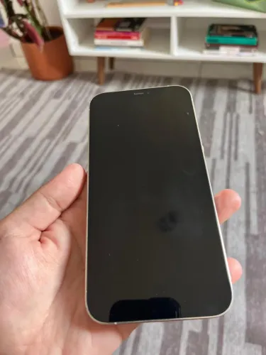 iPhone 12 Pro Max 256GB