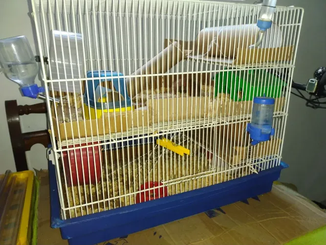 Gaiolas hamsters roedores