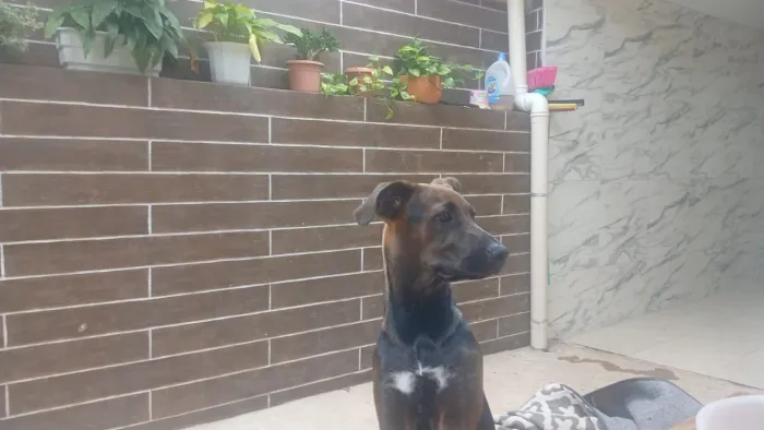 Doação responsável 