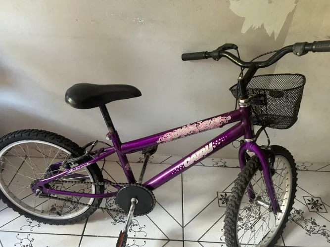 Vendo  2 bicicletas feminina semi nova ,300 reais cada 
