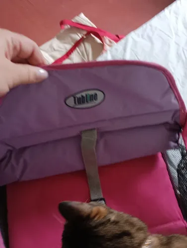 Cadeira de carro para pet pequeno
