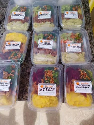 Comida fit congelada *