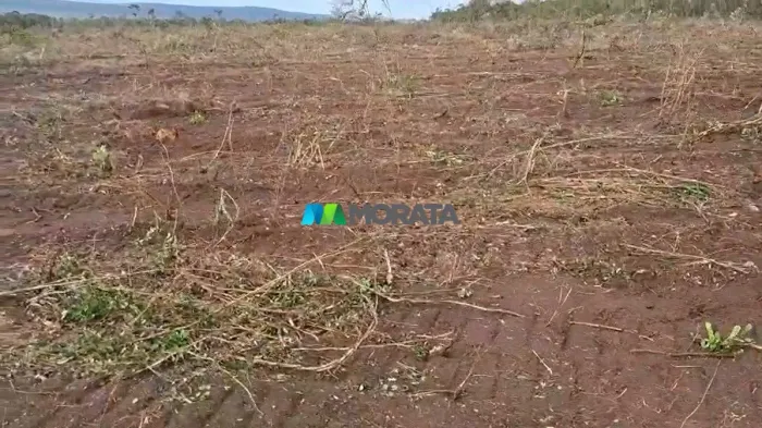 FAZENDA À VENDA - 2.000 HECTARES - DIVISA ALEGRE (MG)