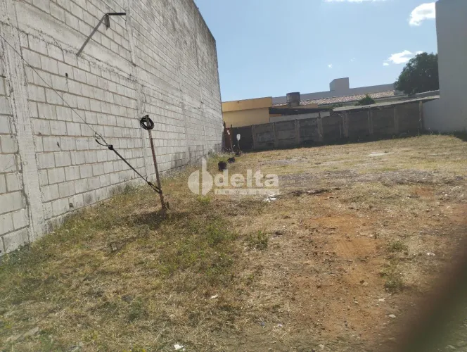 Terreno disponível para locação no bairro Nossa Senhora Aparecida em Uberlândia-MG