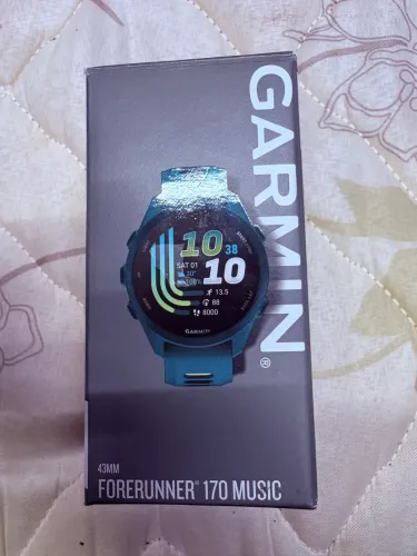 Garmin 170 music