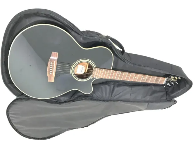 Violão TAKAMINE SÉRIES G junio