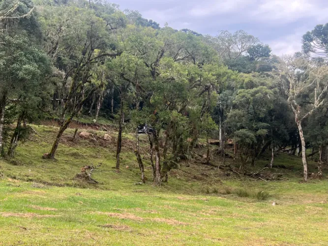 Terreno na montanha c/ 02 hectares em Urubici -