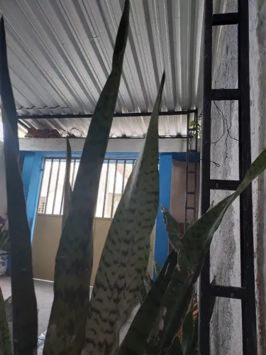 02 casas sem alagamento - compre 1 imóvel e tenha outro como geração de renda mensal. 