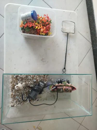 Kit completo com aquário