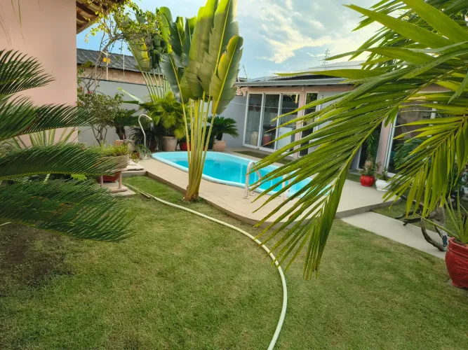 Limpeza de terreno , poda de árvore trabalho de jardinagem