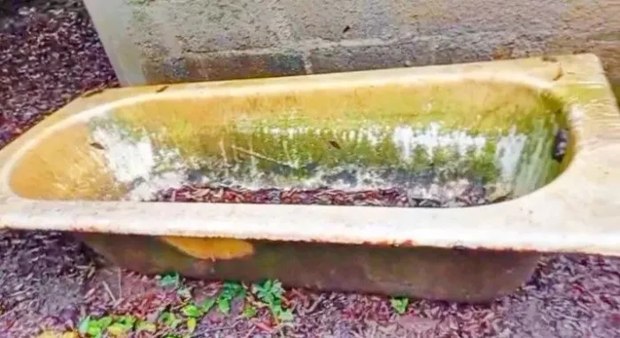 Banheira retrô de ferro