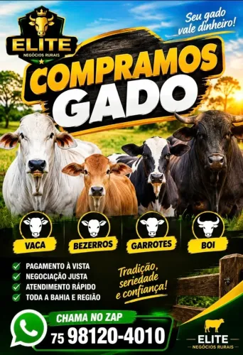 Bezerros