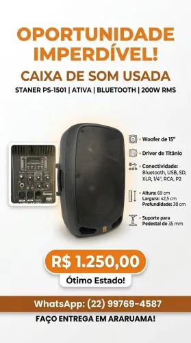 Caixa de Som Amplificada Staner PS-1501 usada