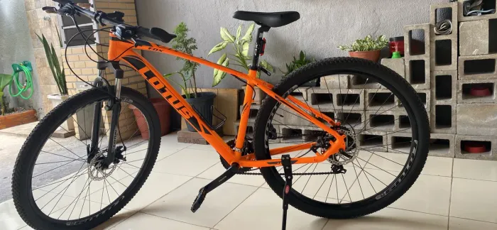 ? MOUNTAIN BIKE LOTUS ARO 29 - QUADRO 17