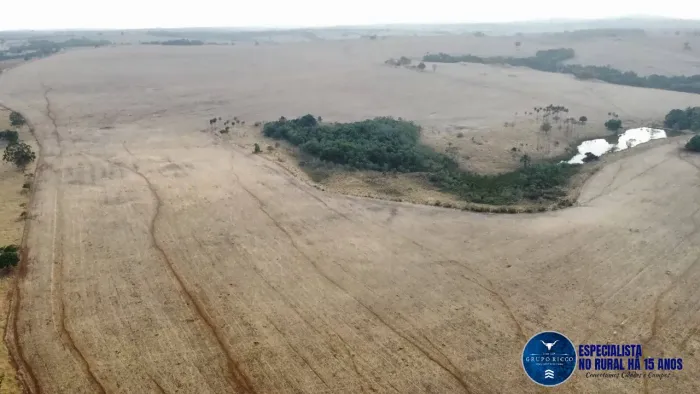 Fazenda à venda em Ipameri-GO  40 Alqueires com terra roxa, rica em água