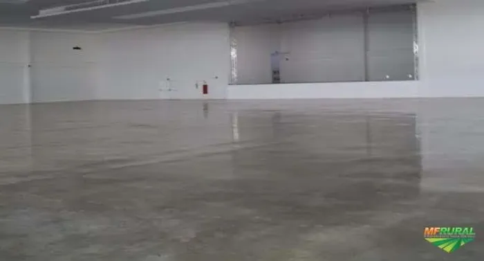 Piso de concreto polido ou estampado 