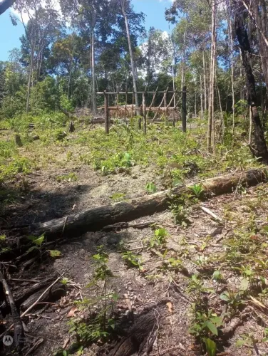 Terreno 200×100 km89 ,rio preto da eva