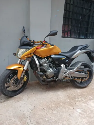 Hornet 600