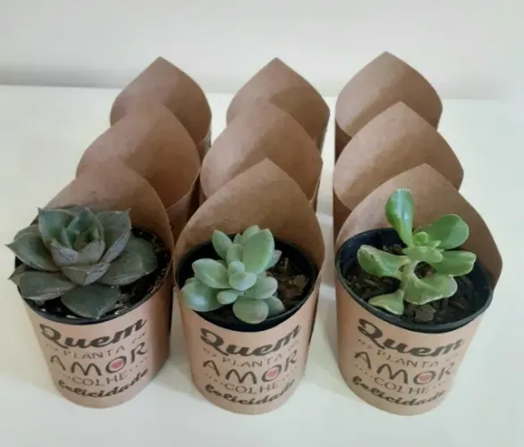 Cachepo personalizado pote tamanho6
