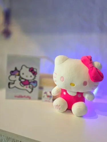 Hello Kitty Cesta presente