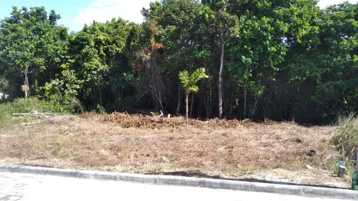 Lindo terreno vista mar localizado na região alta de Nova Cabralia 