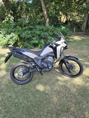 Sahara 300 adventure 25/26