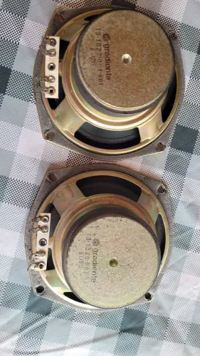 Woofer gradiente