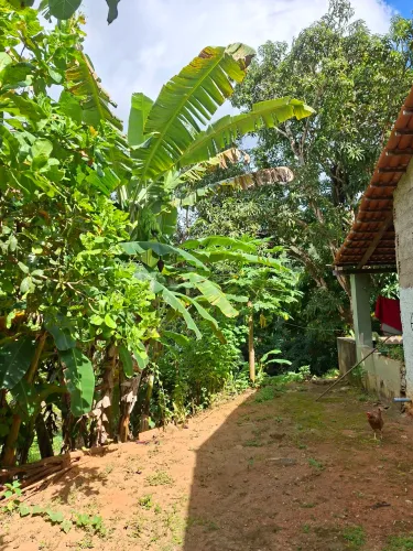 SITIO NO PACOTI