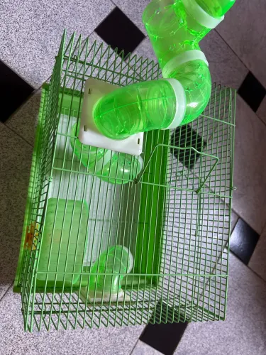 Casinha de hamster 