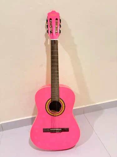 Violão Shelter Rosa Usado