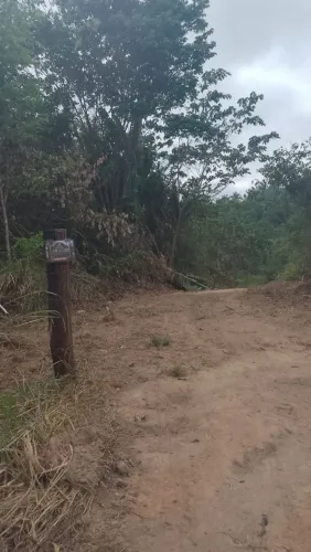 Vendo área rural de 4,87 hectares em Bom Jesus do Tocantins - PA