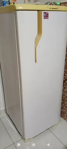 Geladeira Electrolux 256lts