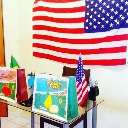 Pacote anual de aulas de ingles com nativo baratinho