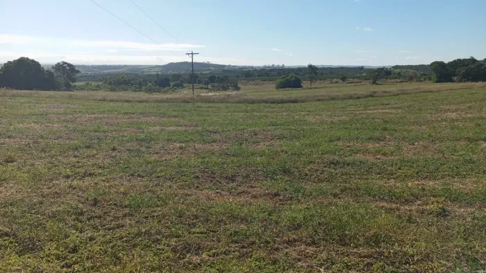 Fazenda pra café beira da pista 