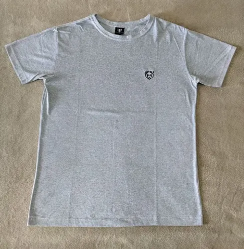 Camiseta Memorizze cinza
