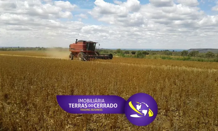 OPORTUNIDADE EM UNAÍ: 472ha de Pura Produtividade a apenas 55km da Cidade!