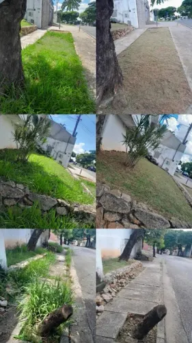 Jardinagem em geral 