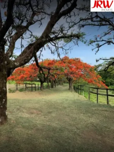 Lançamento mais esperado do ano acaba de chegar - CONDOMÍNIO FECHADO VILLA SAPEZAL - INDAI