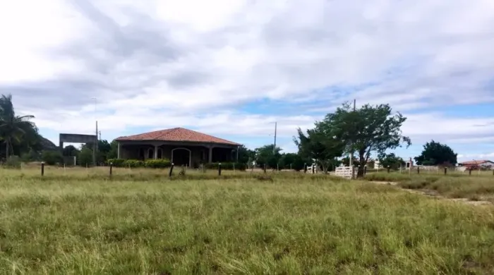 Vendo Fazenda- (Código 1484V) - Iaçu - Ba - 5.000 Tarefas