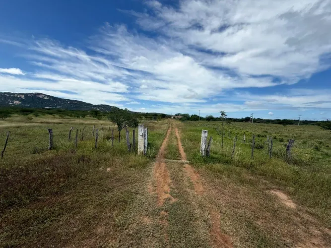 Fazenda Parafina São Mamede PB 