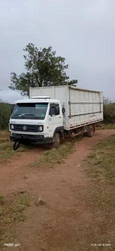 Caminhão boiadeiro 