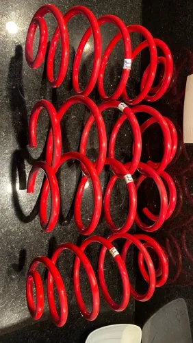 Molas esportivas
