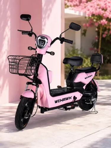 Moto eletrica
