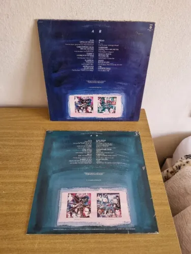 Vinil jogo 2 unidades