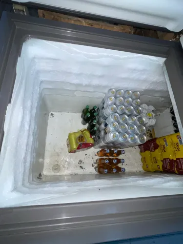 Freezer vertical