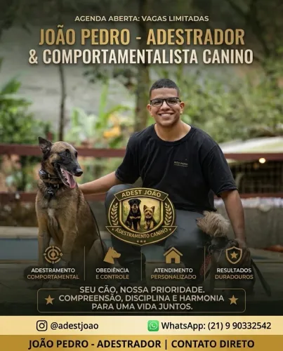 Adestrador de cães 