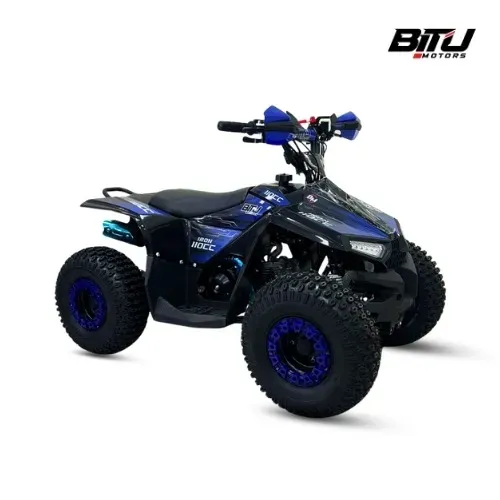 Quadriciclo Iron 110 2026 (0KM Pronta Entrega) Em até 12x sem juros no cartão