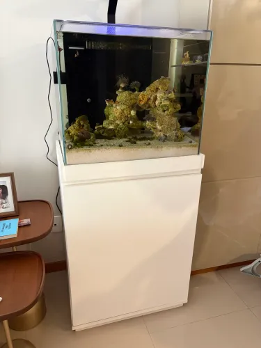 Aquário completo com móvel e sump