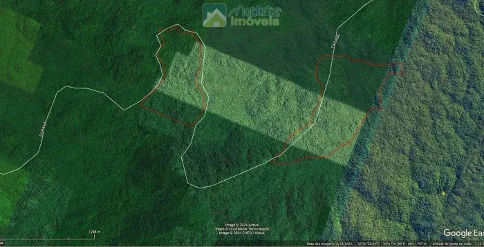 Fazenda eTerras para compensação ambiental ou Crédito de Carbono no Paraná 117,5 hectares 